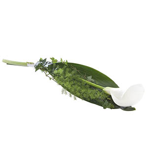 valkovihreä kukkalaite